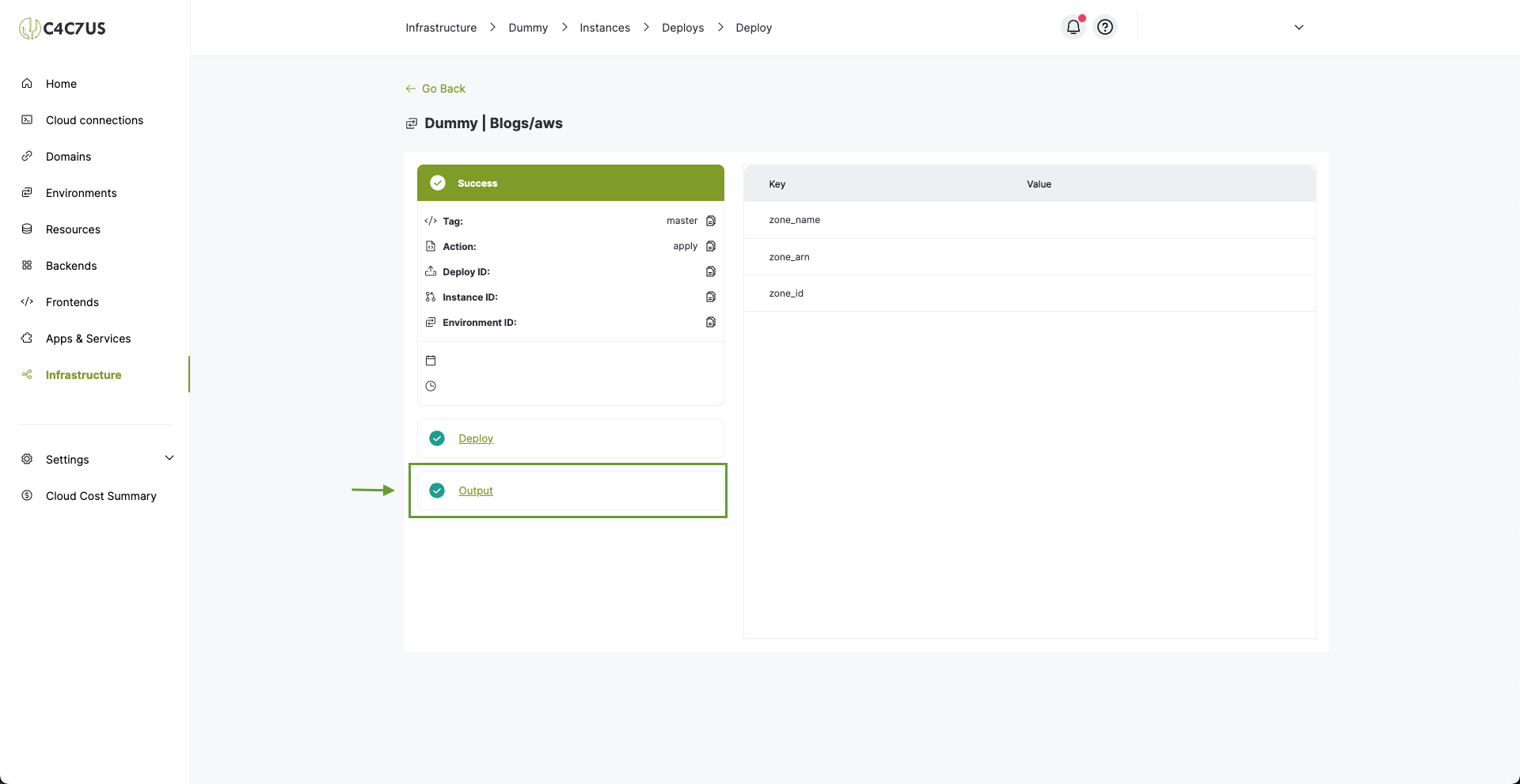 Cactus.cloud infrastructure project instance deploy