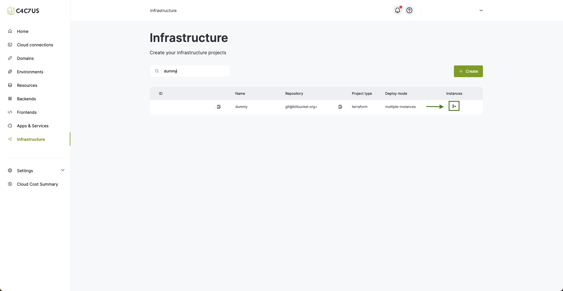 Cactus.cloud infrastructure project created