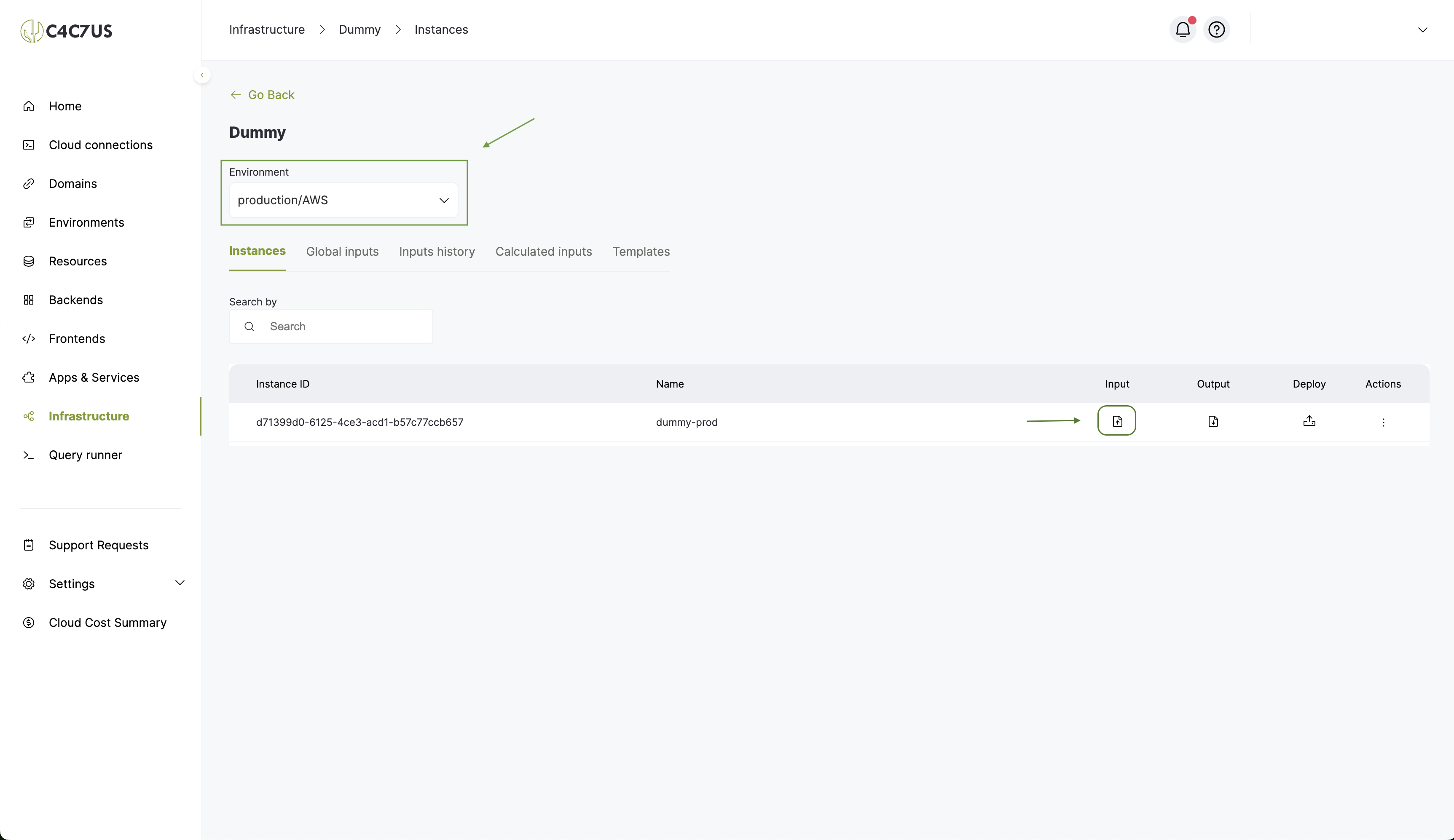 Cactus.cloud infrastructure project instance