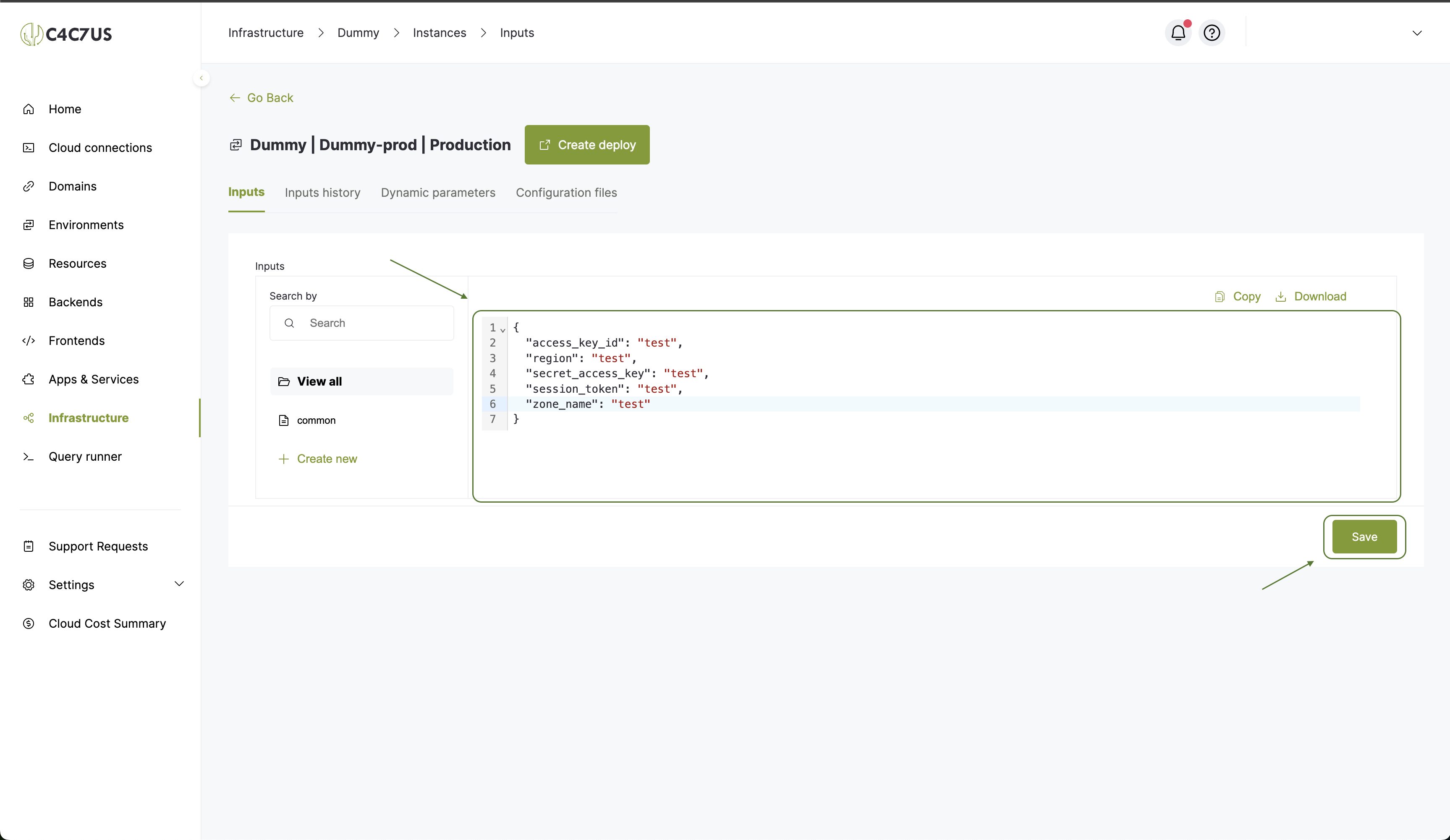 Cactus.cloud infrastructure project instance input