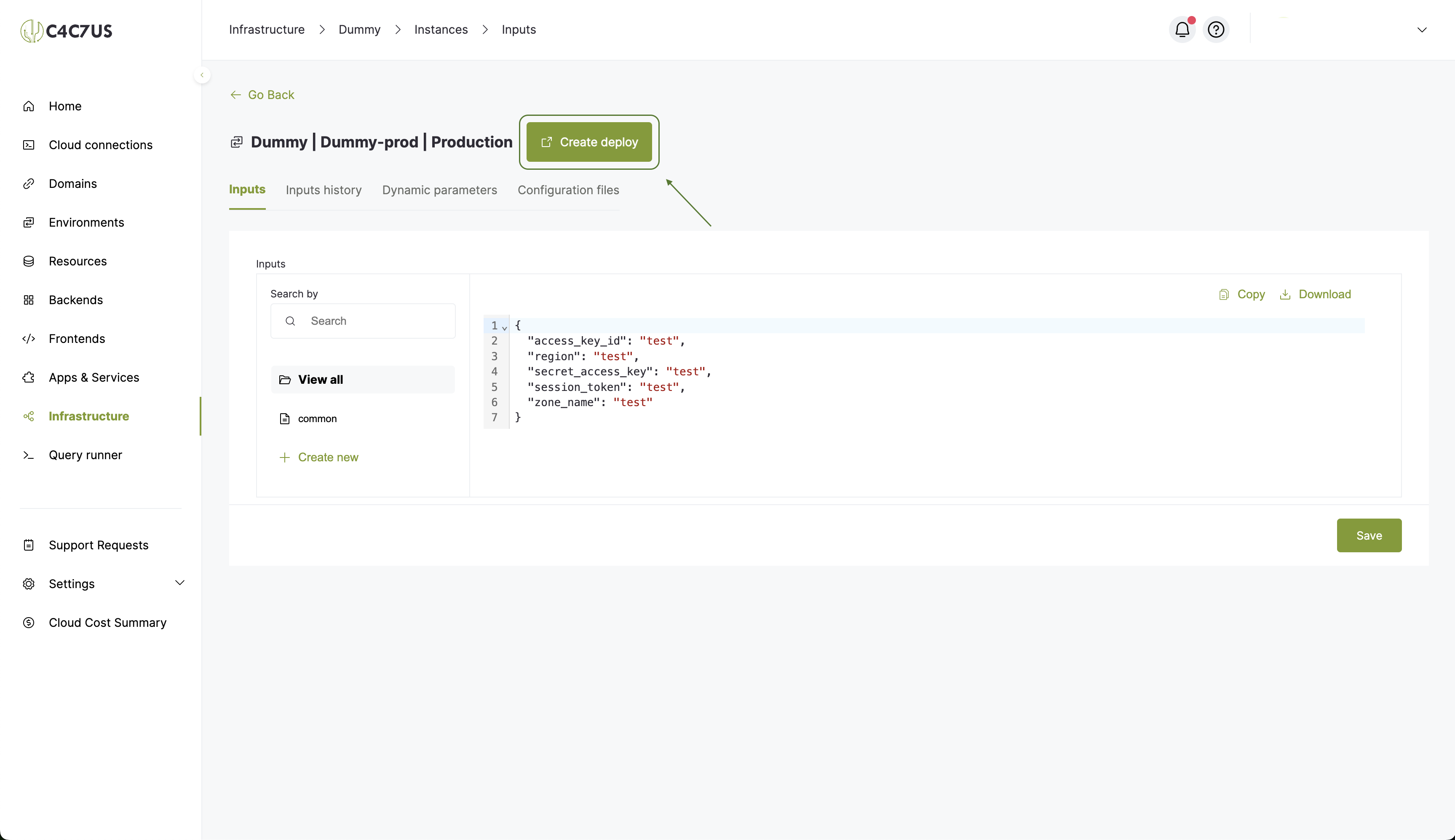 Cactus.cloud infrastructure project instance input filled